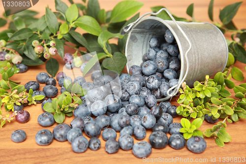 Image of Blueberries