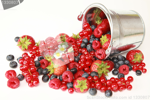 Image of Berries