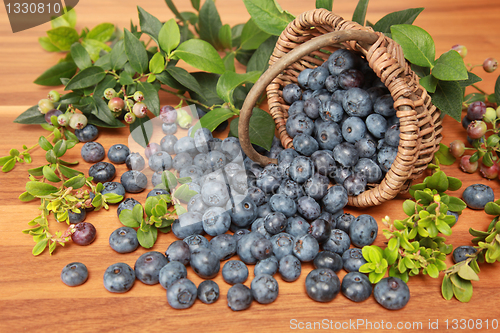 Image of Blueberries