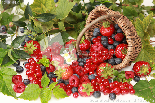 Image of Berries