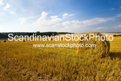 Image of Cleaning of cereals