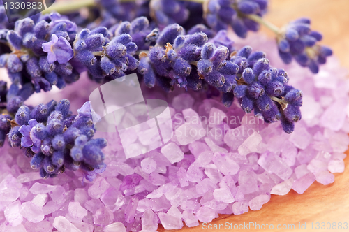 Image of Lavender flowers and the bath salt - beauty treatment 