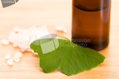 Image of fresh leaves ginko biloba essential oil and sea salt - beauty tr