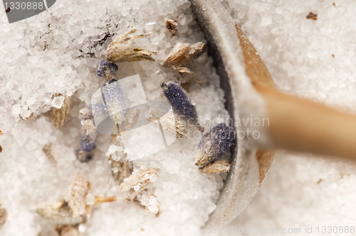 Image of Lavender Sugar