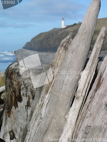 Image of Driftwood and Lighthouse