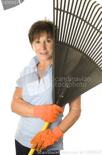 Image of female middle age senior gardener leaf rake