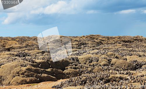 Image of Landscape in Normandy