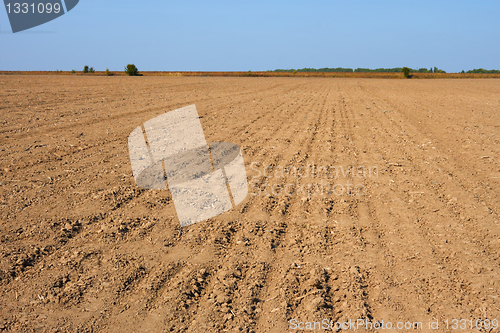 Image of Furrows in the field