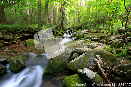 Image of long stream in the smokey mountains