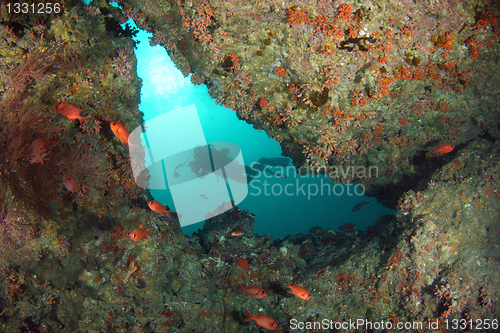 Image of Diver from a cave