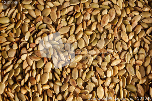 Image of Pumpkin seeds