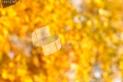 Image of Autumn bokeh background