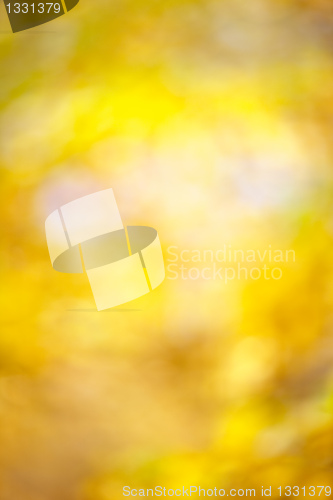 Image of Autumn bokeh background