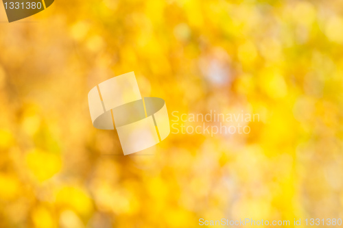 Image of Autumn bokeh background