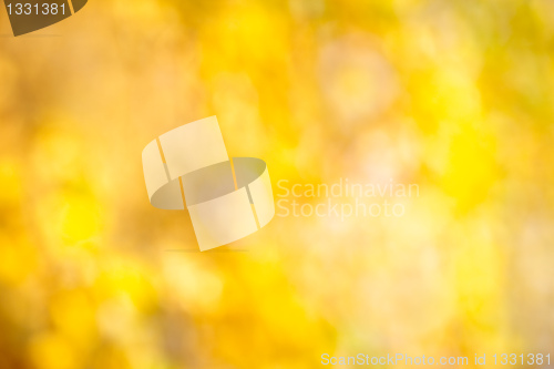 Image of Autumn bokeh background