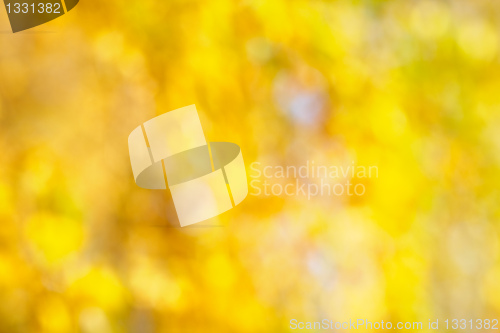 Image of Autumn bokeh background