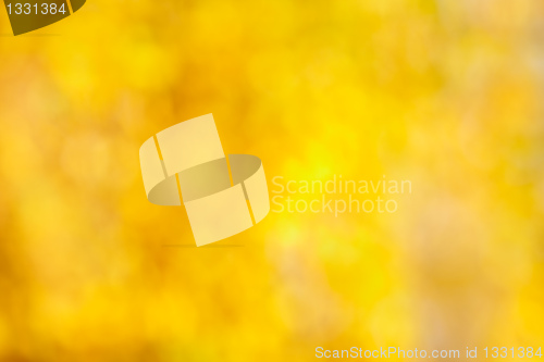 Image of Autumn bokeh background