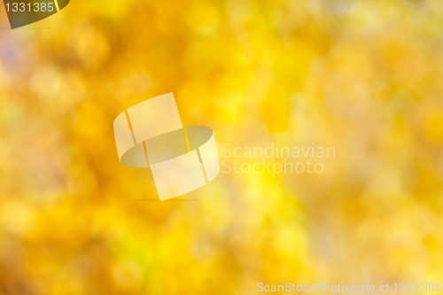 Image of Autumn bokeh background