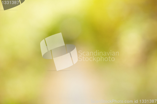 Image of Autumn alley in out-of-focus bokeh