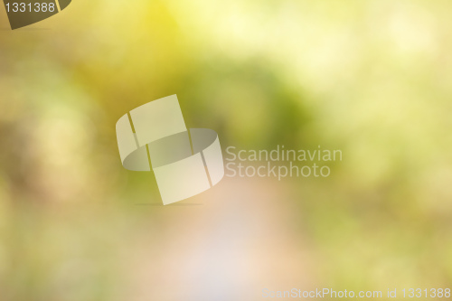 Image of Autumn alley in out-of-focus bokeh