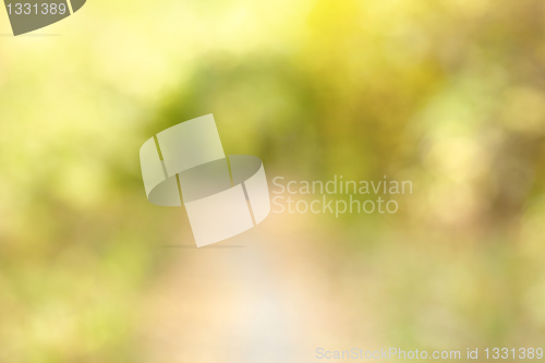 Image of Autumn alley in out-of-focus bokeh