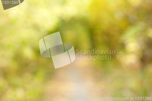Image of Autumn alley in out-of-focus bokeh