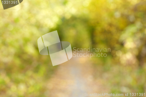 Image of Autumn alley in out-of-focus bokeh