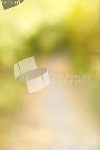 Image of Autumn alley in out-of-focus bokeh