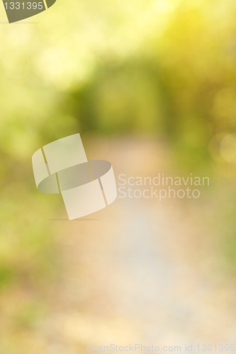 Image of Autumn alley in out-of-focus bokeh