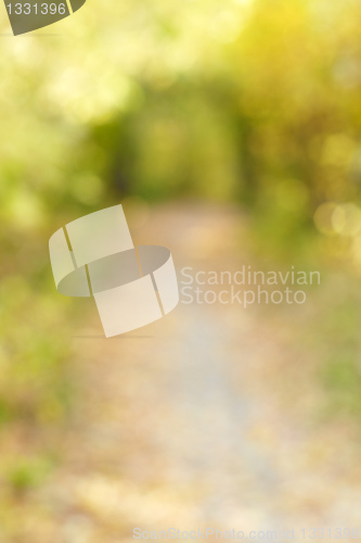 Image of Autumn alley in out-of-focus bokeh