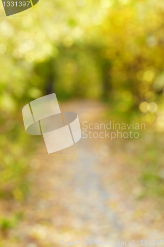 Image of Autumn alley in out-of-focus bokeh