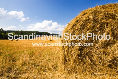 Image of Straw stack