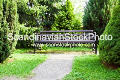 Image of Bench in park