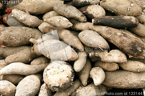 Image of Chinese yam background