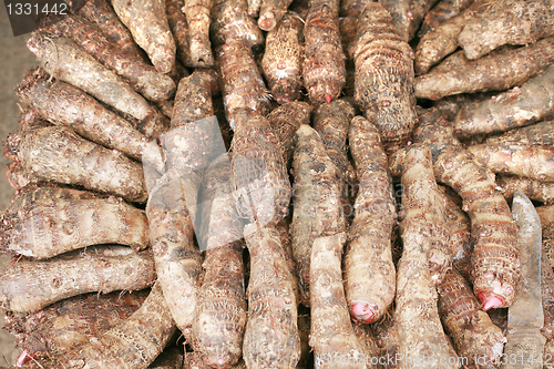 Image of background of fresh taro root (colocasia) 