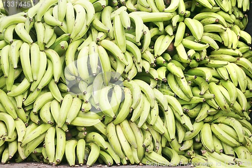 Image of Green plantains (bananas) 