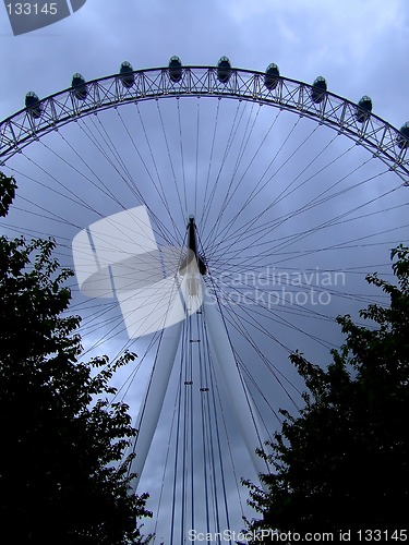 Image of Tree with wheel