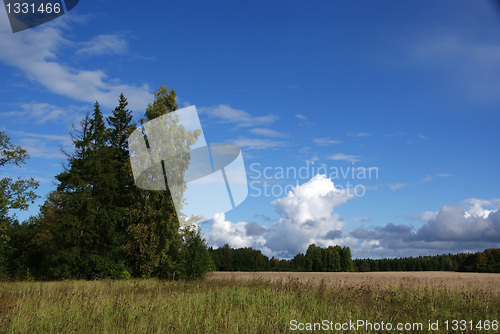 Image of Landscape