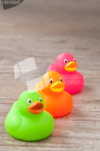 Image of Rubber duck