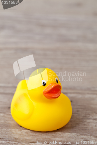 Image of Rubber duck