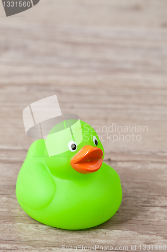 Image of Rubber duck