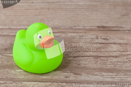 Image of Rubber duck