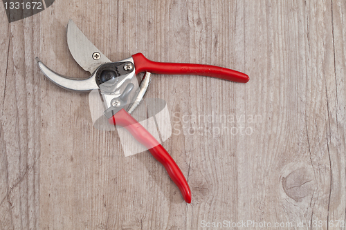 Image of Gardening scissor