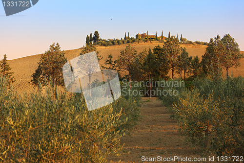 Image of Tuscany landscape