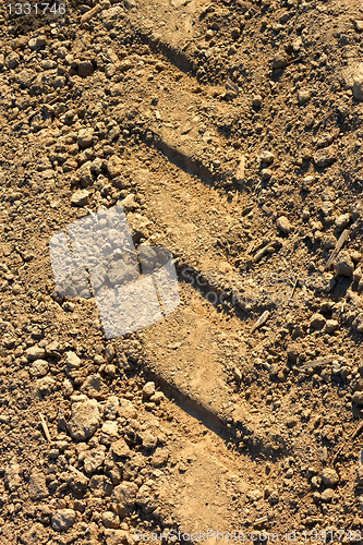 Image of Tread pattern on soil