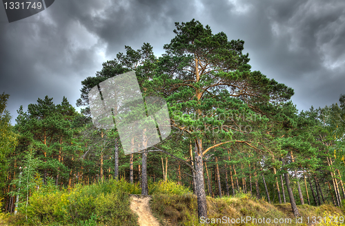 Image of Autumn landscape.