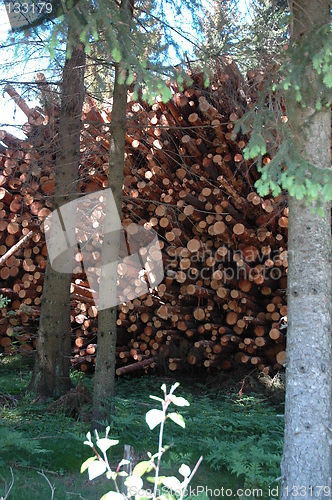 Image of Logs