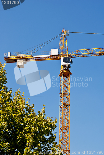 Image of Crane