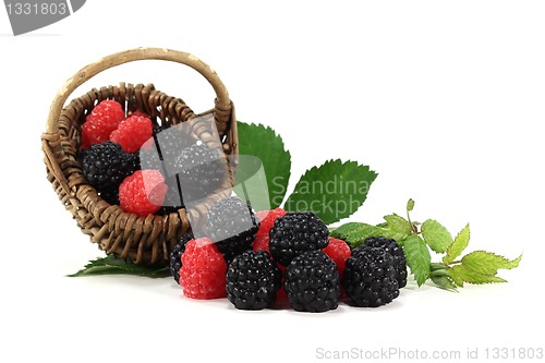 Image of Blackberries and raspberries