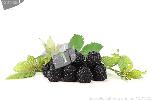 Image of Blackberries